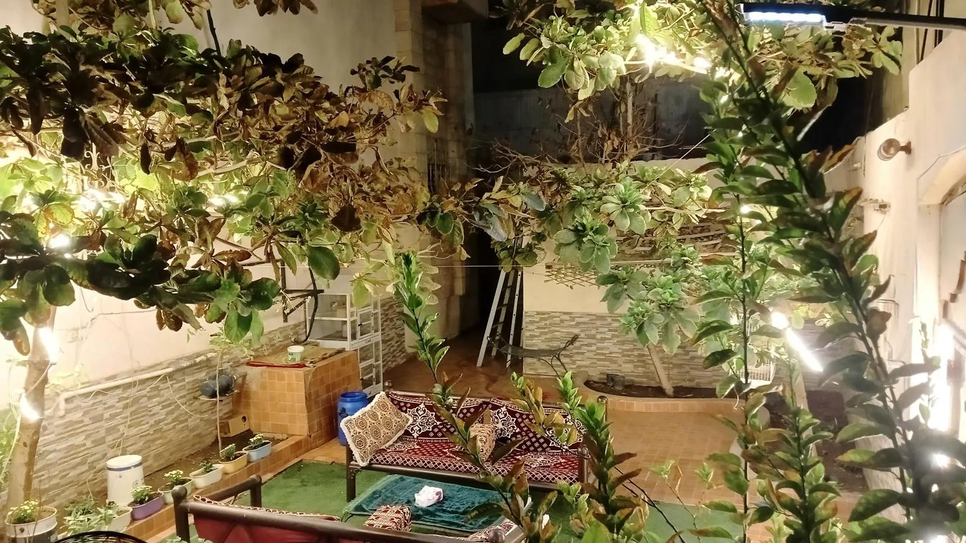 Apartmán سوما للشقق المفروشة Medína